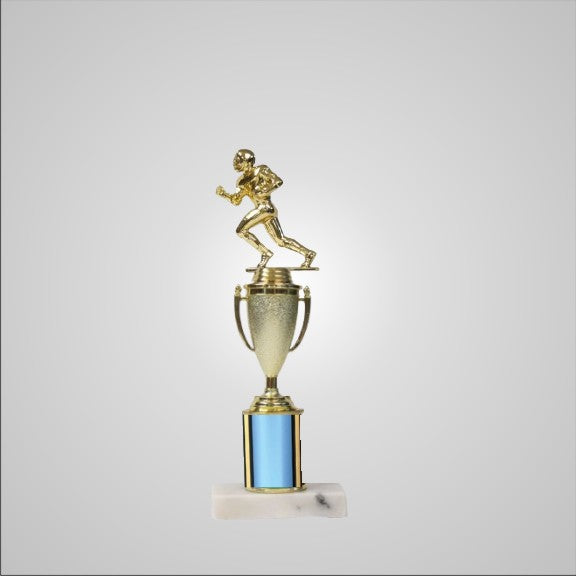 12.5" Trophy with Cup