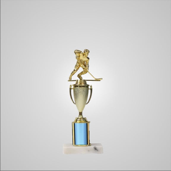 12.5" Trophy with Cup
