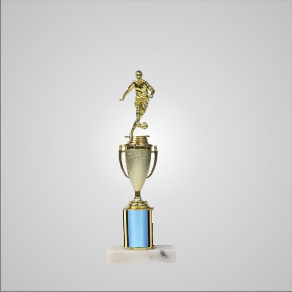 12.5" Trophy with Cup