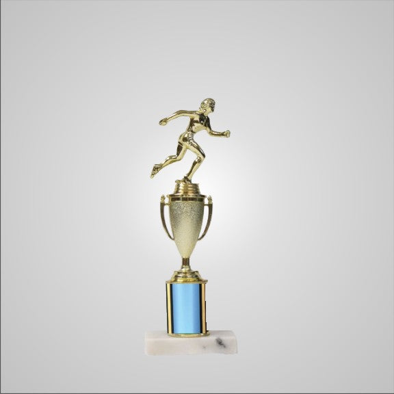 12.5" Trophy with Cup