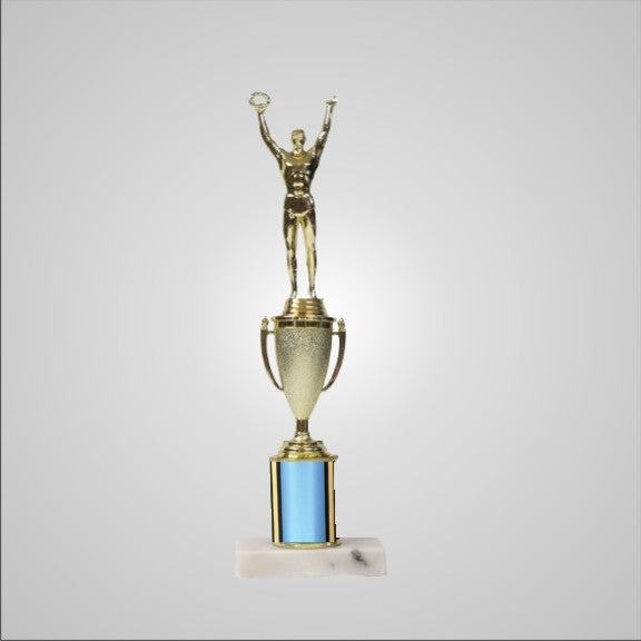 12.5" Trophy with Cup