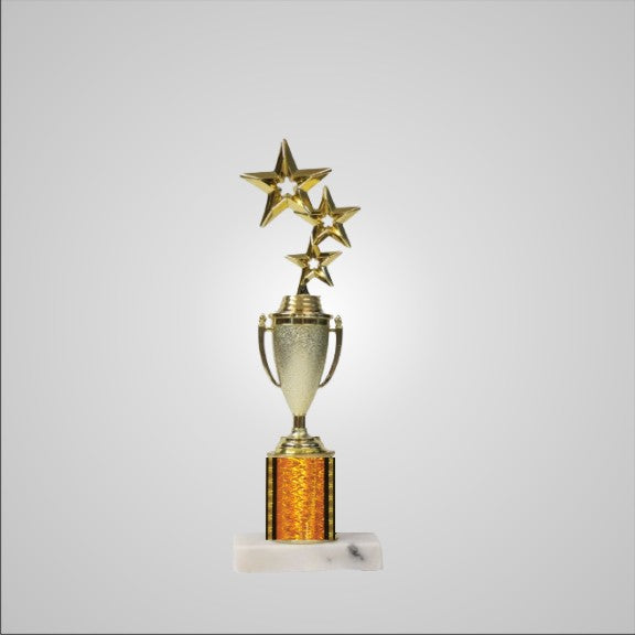 12.5" Trophy with Cup