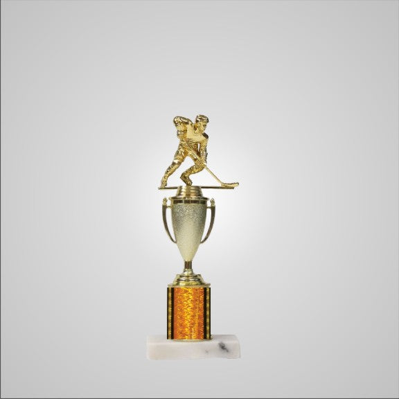 12.5" Trophy with Cup