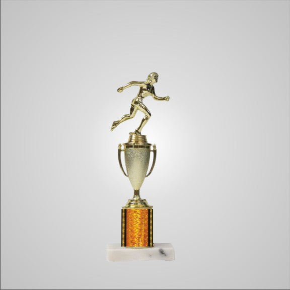 12.5" Trophy with Cup