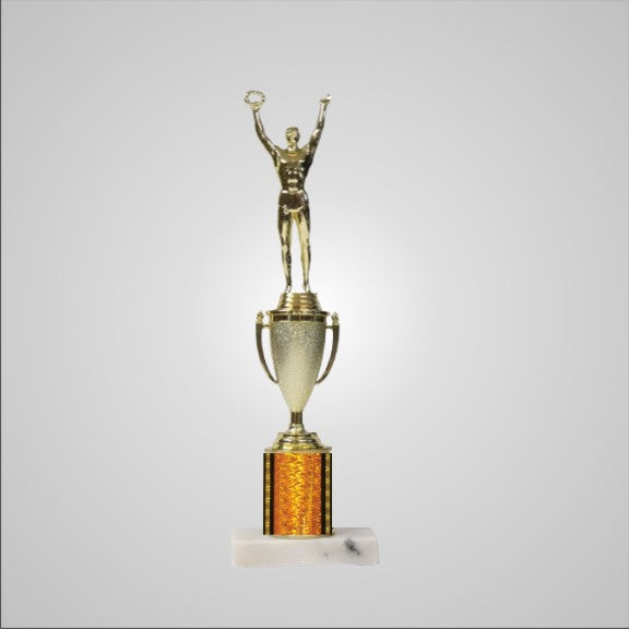 12.5" Trophy with Cup