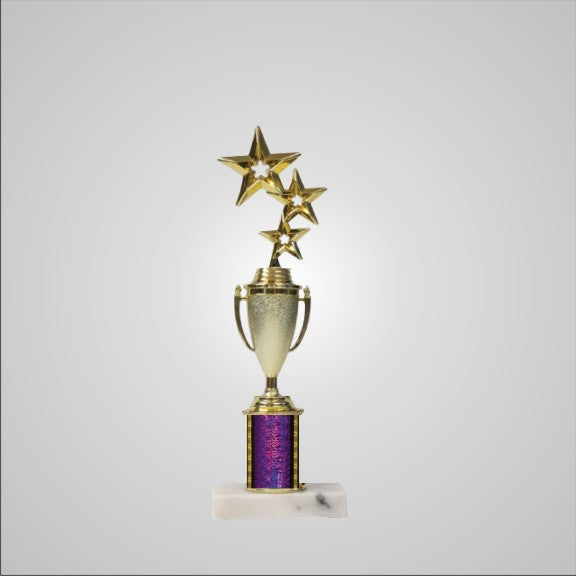 12.5" Trophy with Cup