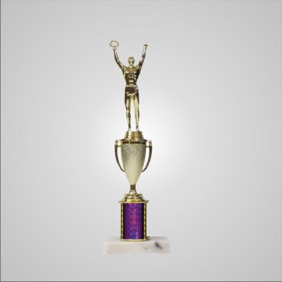 12.5" Trophy with Cup
