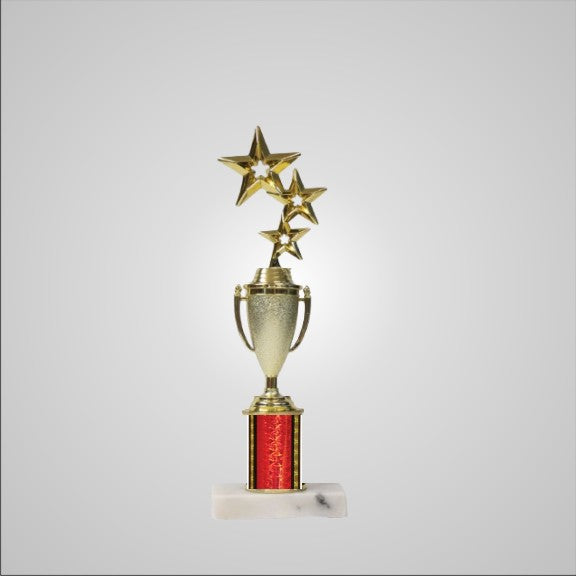12.5" Trophy with Cup