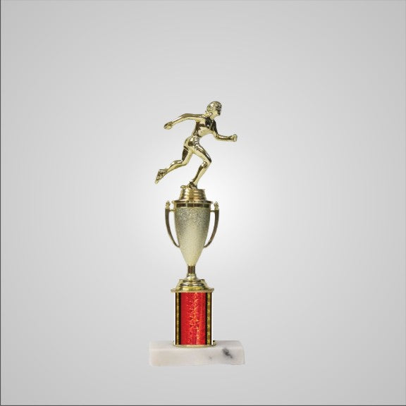 12.5" Trophy with Cup