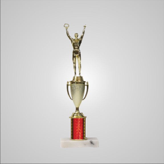 12.5" Trophy with Cup