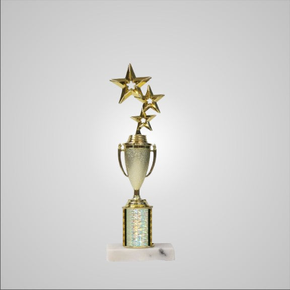 12.5" Trophy with Cup