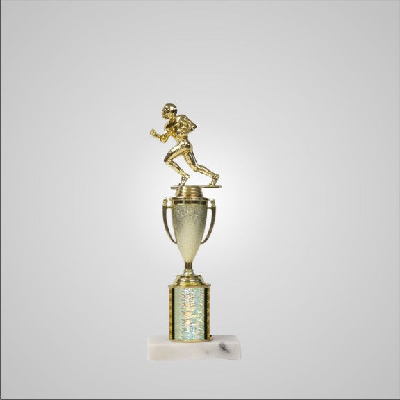 12.5" Trophy with Cup