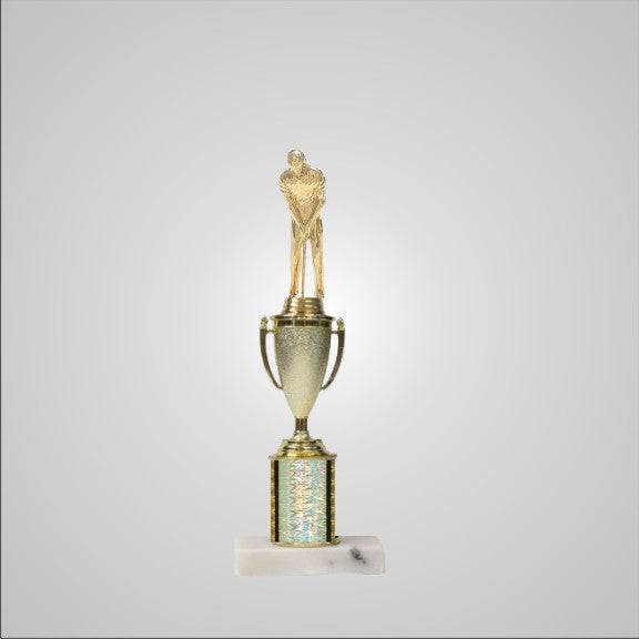 12.5" Trophy with Cup