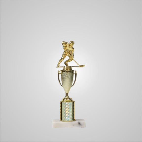 12.5" Trophy with Cup