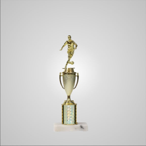 12.5" Trophy with Cup