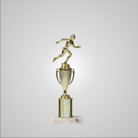 12.5" Trophy with Cup