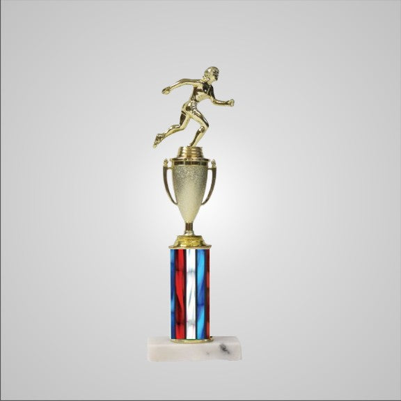 14.5" Trophy with Cup