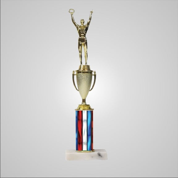 14.5" Trophy with Cup