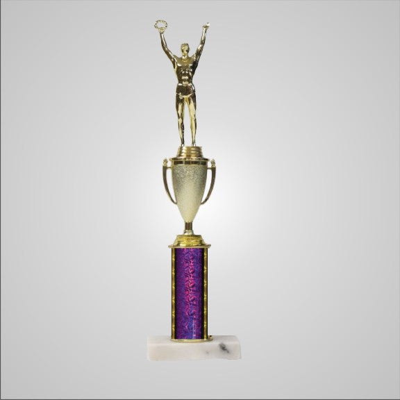 14.5" Trophy with Cup