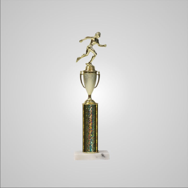 16.5" Trophy with Cup