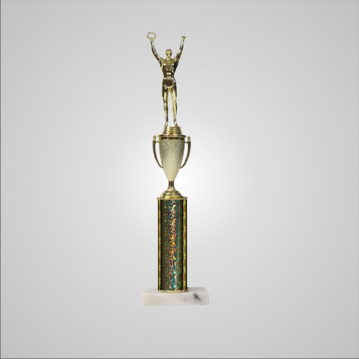 16.5" Trophy with Cup