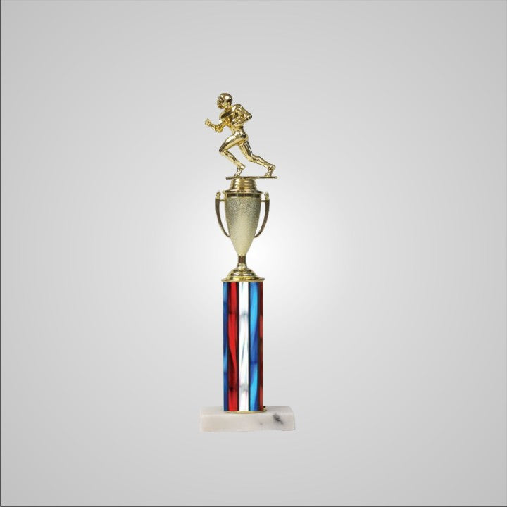 16.5" Trophy with Cup