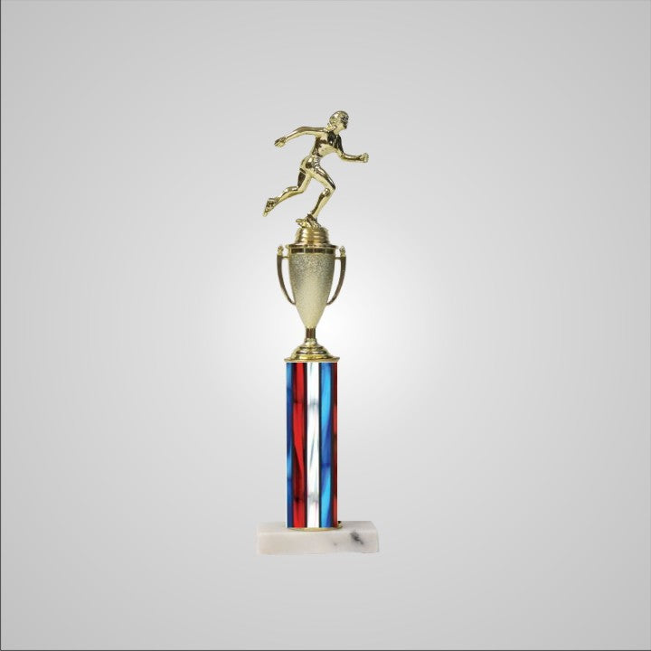 16.5" Trophy with Cup