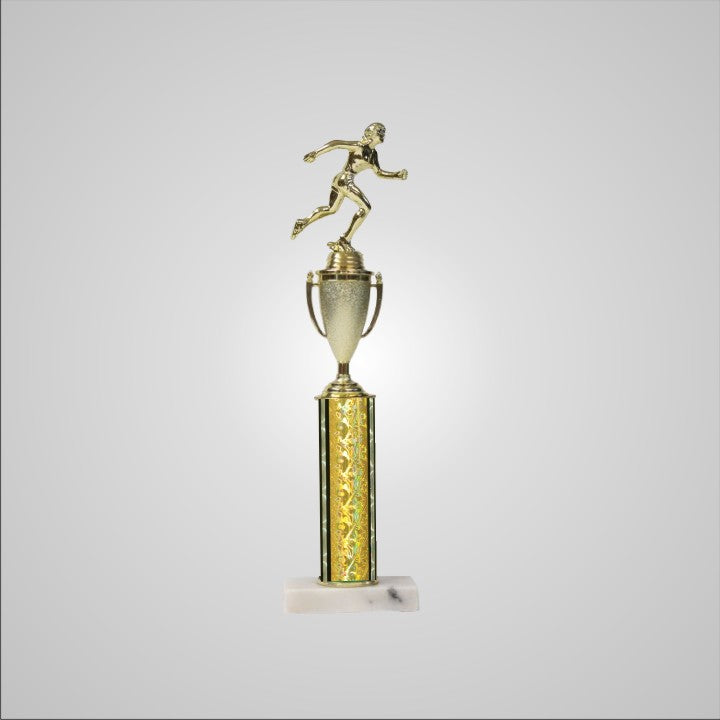 16.5" Trophy with Cup