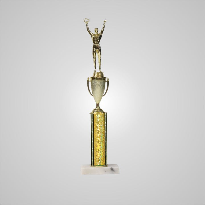 16.5" Trophy with Cup