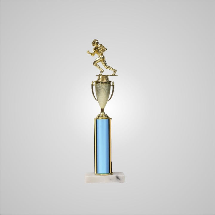 16.5" Trophy with Cup