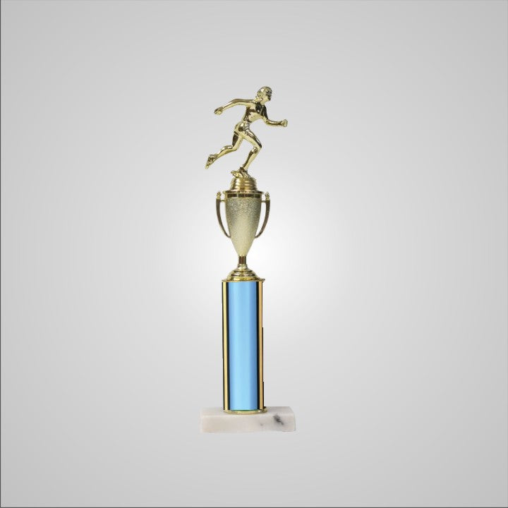 16.5" Trophy with Cup