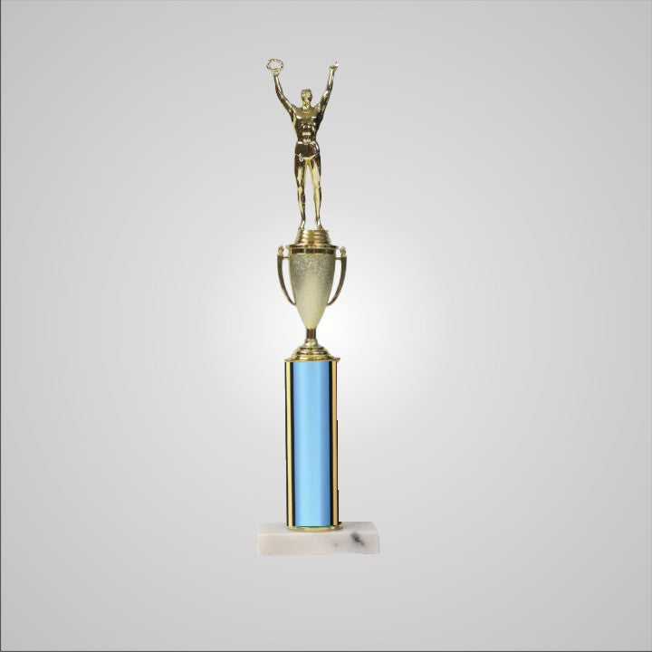 16.5" Trophy with Cup
