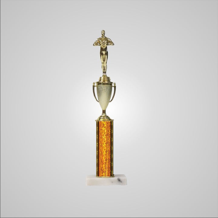 16.5" Trophy with Cup