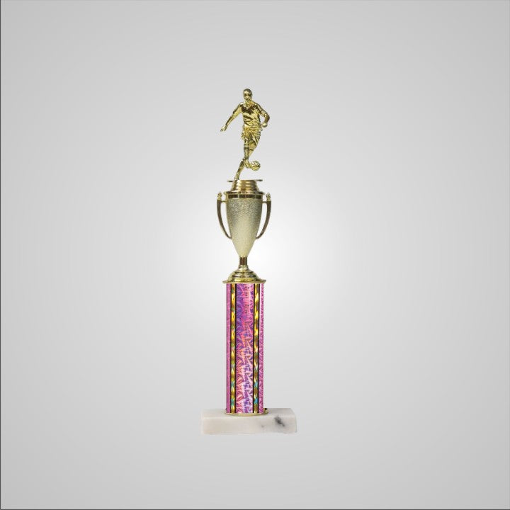 16.5" Trophy with Cup