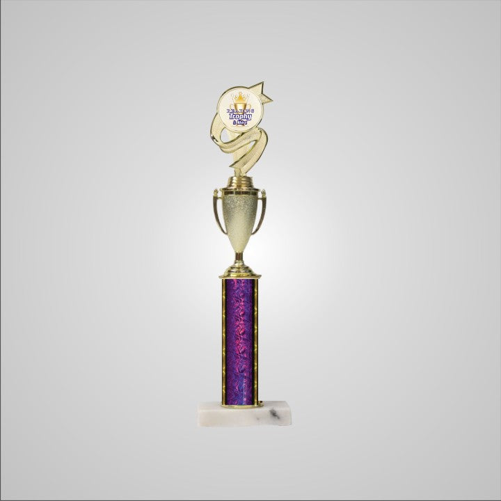 16.5" Trophy with Cup