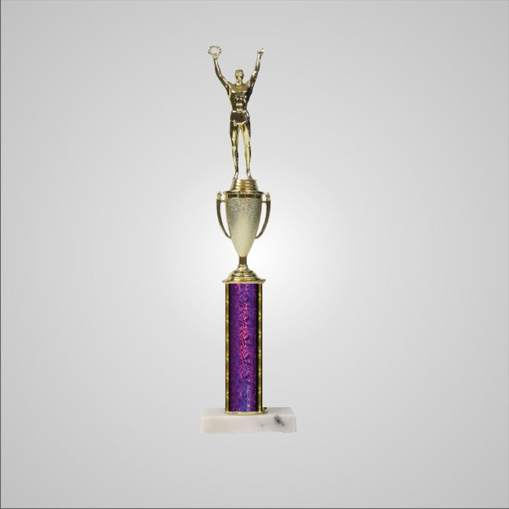 16.5" Trophy with Cup