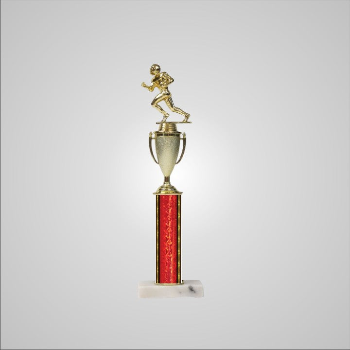 16.5" Trophy with Cup