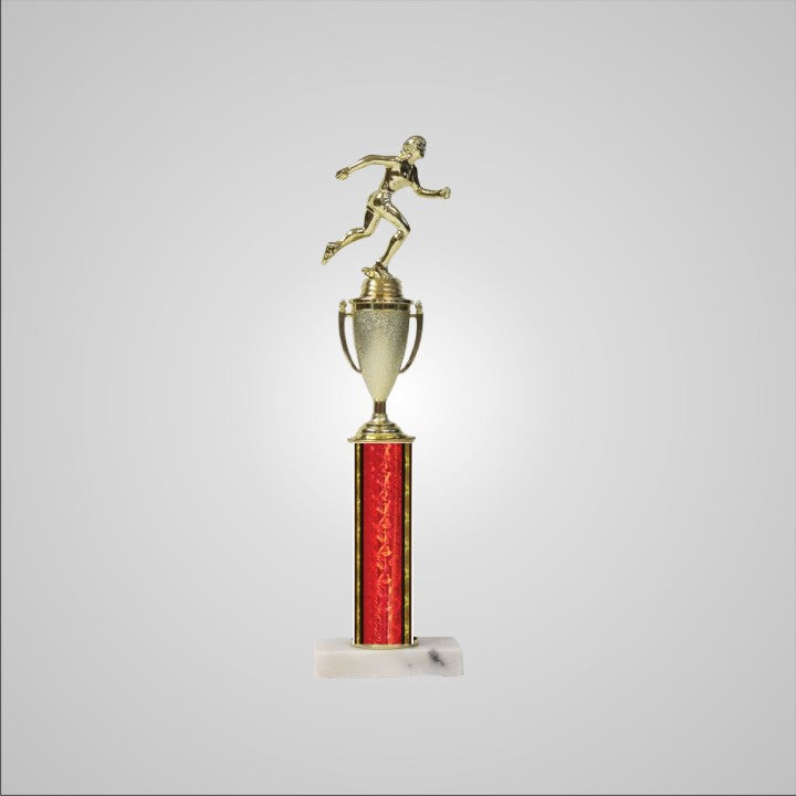 16.5" Trophy with Cup