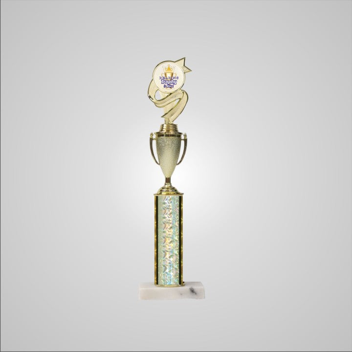16.5" Trophy with Cup