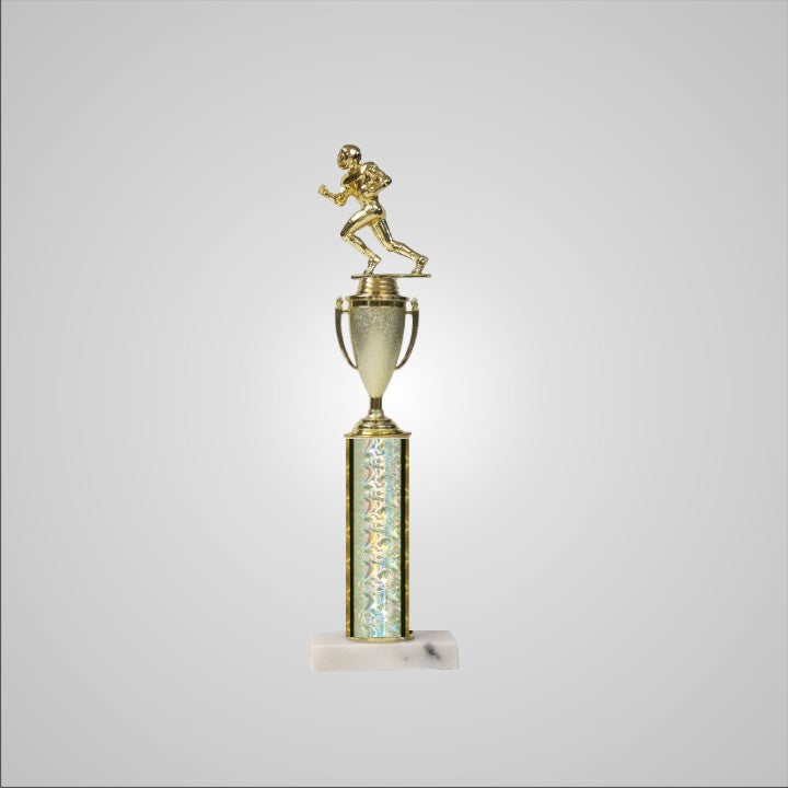 16.5" Trophy with Cup