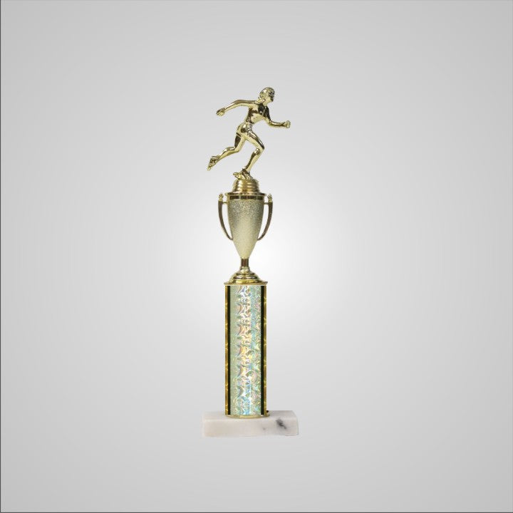 16.5" Trophy with Cup