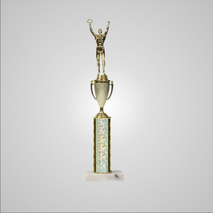 16.5" Trophy with Cup