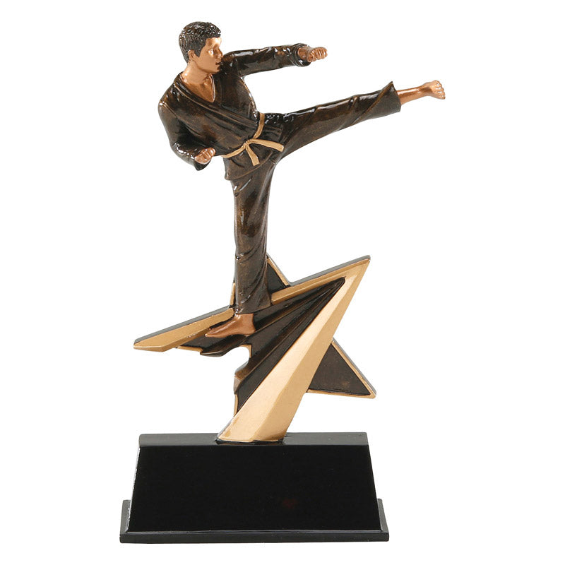 Karate Star Resin