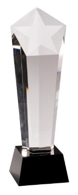 Frosted Star Column on Black Pedestal Base. Available in 3 Sizes
