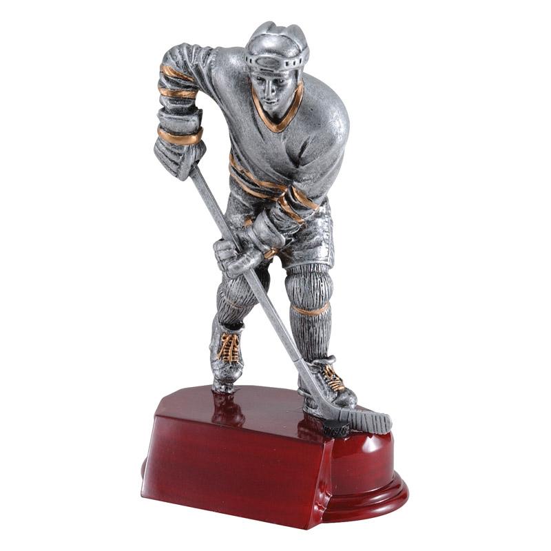 Hockey RFC Resins - Goalie, Female and Male Skaters