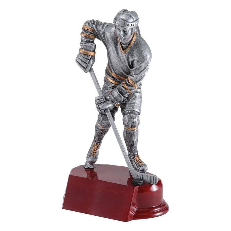 Hockey RFC Resins - Goalie, Female and Male Skaters
