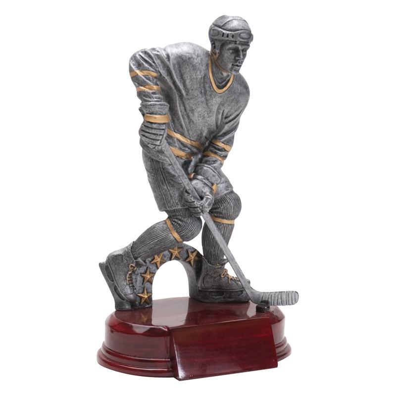 Hockey RFC Resins - Goalie, Female and Male Skaters
