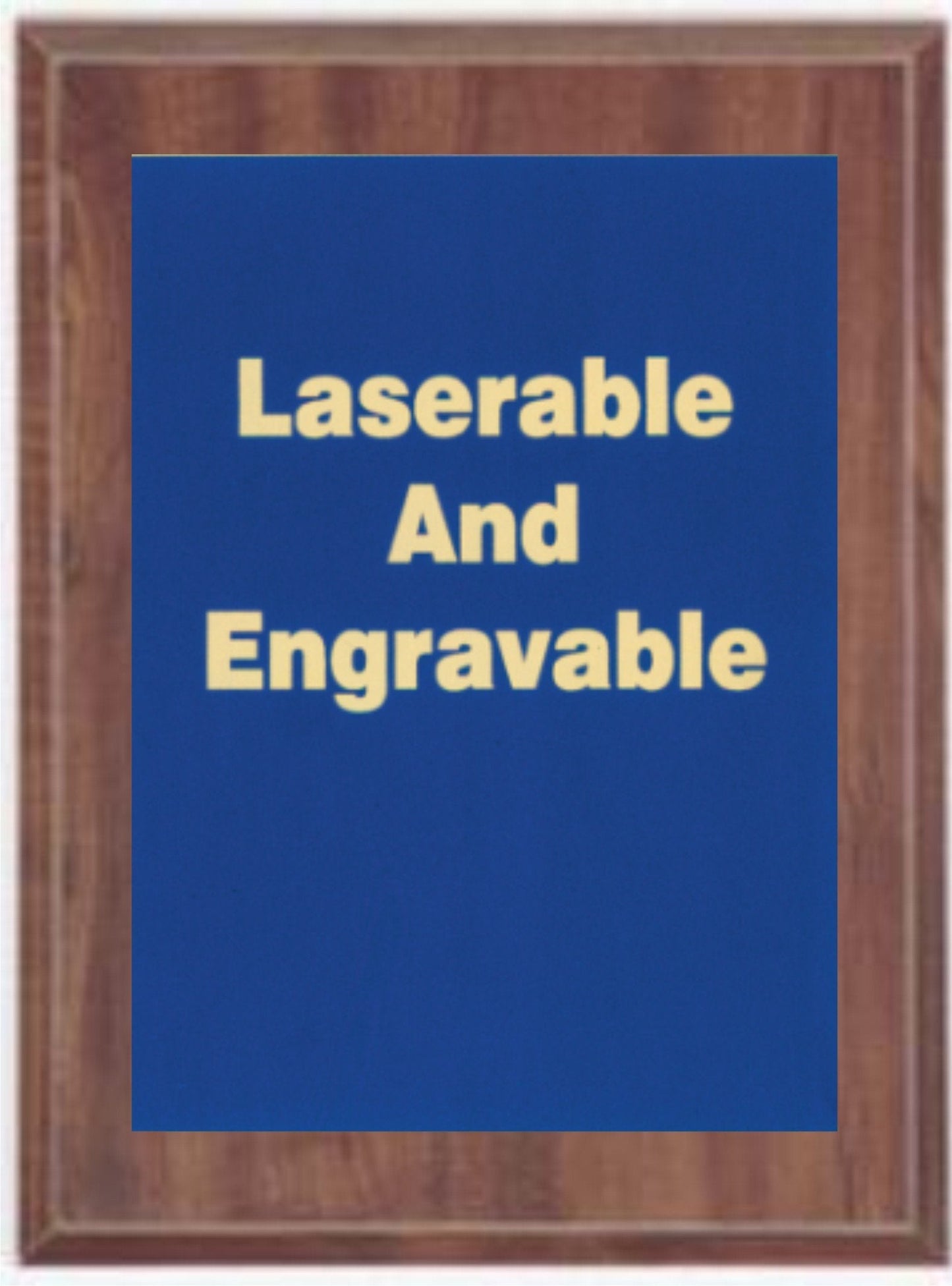 Stock plaques, comes in 2 plaque color options and 9 front plate options to choose from.