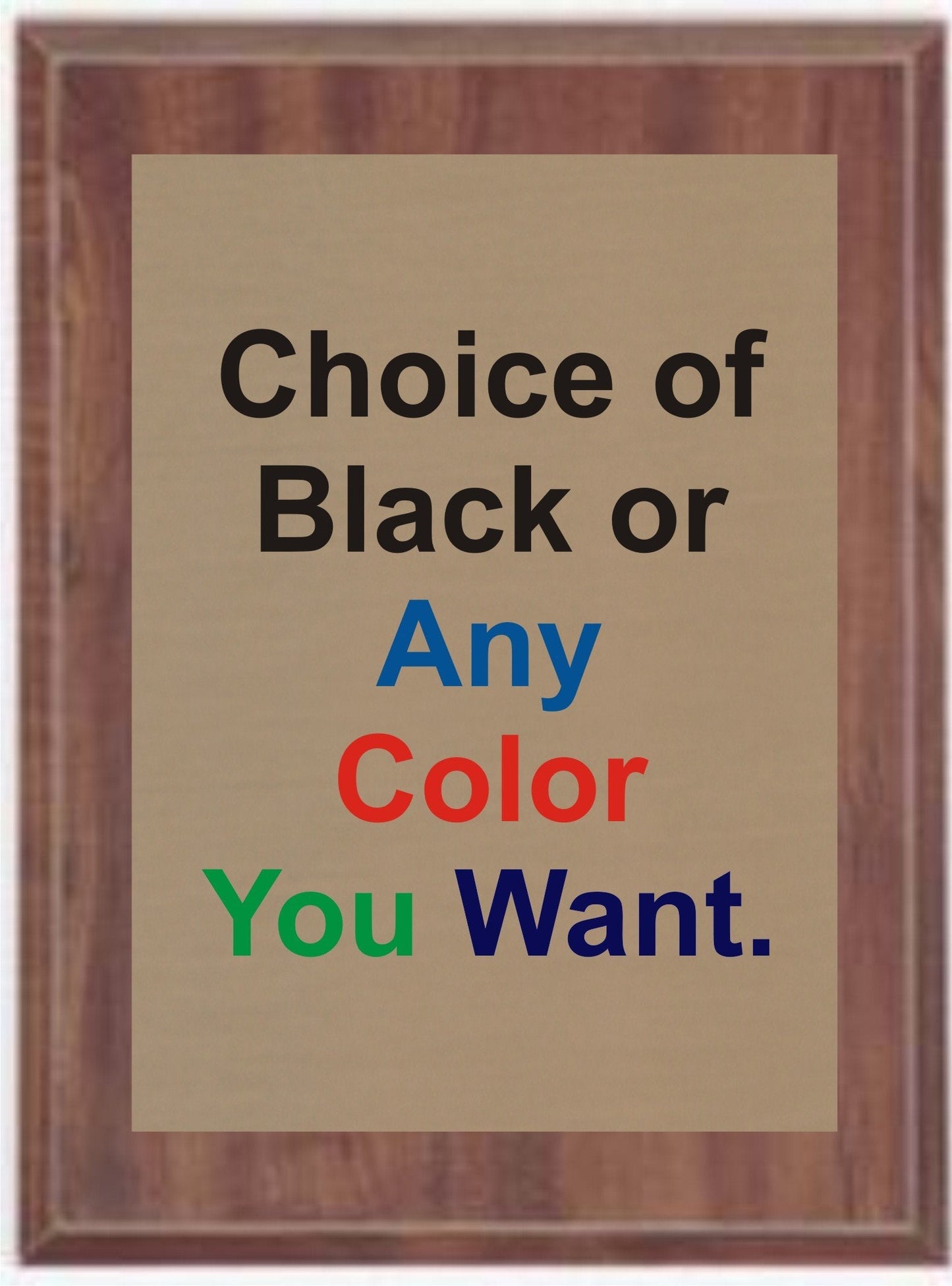 Stock plaques, comes in 2 plaque color options and 9 front plate options to choose from.