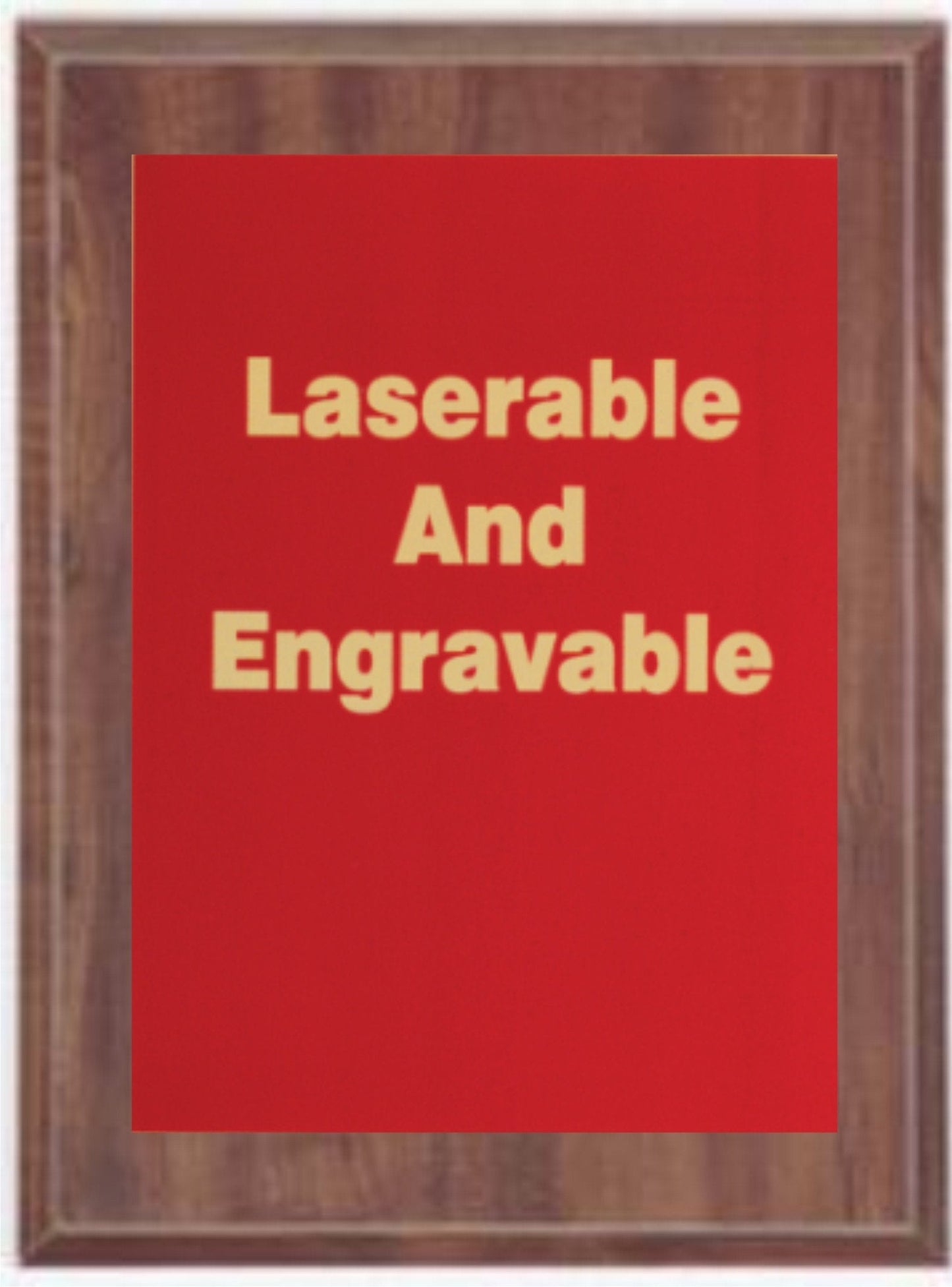 Stock plaques, comes in 2 plaque color options and 9 front plate options to choose from.